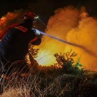 Dalmacija bukti: Umornim gasiteljima prijeti i bura, vatra se kod Vrsina približila kućama