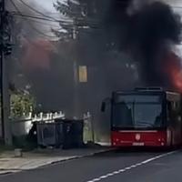 Zapalio se autobus u Beogradu: Vatra progutala cijeli zadnji dio 