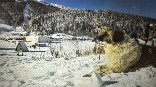 Udruženje zaprimilo apel za pomoć - Avaz