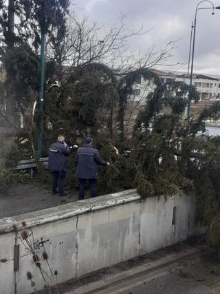 Palo stablo na Ilidži: Zatvoren ulaz sa brze ceste 