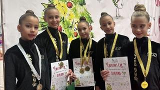 Takmičarke "Bosna Gym" osvojile 18 medalja na takmičenje u Zagrebu