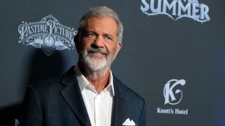 Mel Gibson kritikovao guvernera Kalifornije: Novac od poreza potrošio na gel za kosu