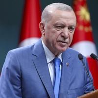 Erdoan najavio da će Turska u srijedu u Hagu predati dokumentaciju za priključivanje procesu tužbe za genocid protiv Izraela