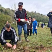 Vlada i Šume Tuzlanskog kantona pokrenule ekološki megaprojekat pošumljavanja