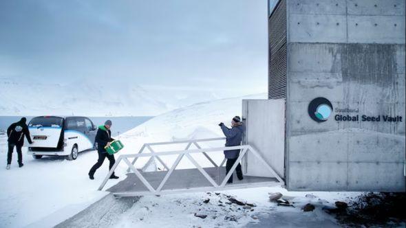 Trezor na arhipelagu Svalbard u Norveškoj - Avaz