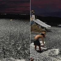 Ljudi šokirani bizarnim prizorom na plaži: Pogledajte šta je more počelo izbacivati na obalu