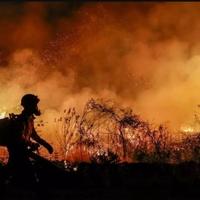 Bjesne požari u Brazilu: 36 gradova u stanju visoke pripravnosti, uhapšene dvije osobe