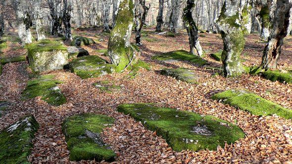 Jedna od najvećih nekropola u BiH je u Goršić Polju kod Goražda   - Avaz