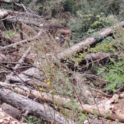 "Avaz" u posjedu dokumenta: Gradilište "Trebević Hills-a" ugrožava Bistrički potok