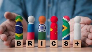 BRICS u prizemlju, a EU na sedmom spratu, BiH je prirodni dio evropskog tržišta