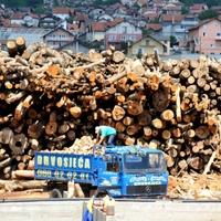 Visoke cijene pomjerile rokove: Potražnja za ogrjevom raste