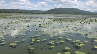 Park prirode Hutovo blato započeo s revitalizacijom Deranskog jezera
