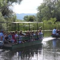 Hutovo blato: Turisti će solarnim brodicama obilaziti najbogatiji rezervat ptica