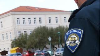 Pas napao i povrijedio drugog psa i vlasnicu: Policajac ga ubio iz pištolja