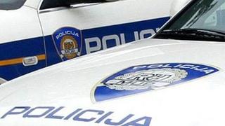 Policajac sletio s kolovoza, udario u drvo i poginuo