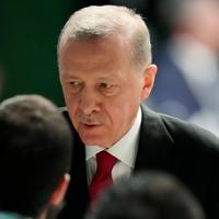 Erdoan citirao Aliju Izetbegovića:
"Ponavlja se genocid koji se zaboravi"